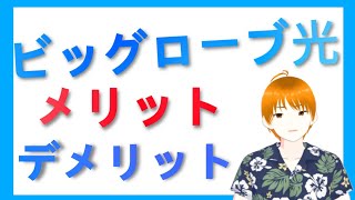 【4万円還元】ビッグローブ光とは！？キャンペーンは？ [upl. by Toulon]