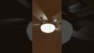 Ceiling fan in action funny amazing viral trending shortvideo fyp reel [upl. by Thorbert]