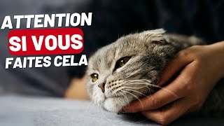 Comment savoir si votre chat A DOULEUR ➡️ LES SIGNES à surveiller selon les experts [upl. by Notnel]