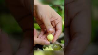 Recipe for making delicious crispy miniature potato cheese balls in the forest asmr minifood [upl. by Cummins]