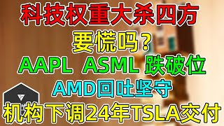 美股 新年下马威？科技权重大杀四方！AAPL、ASML跌破位！AMD回吐坚守！部分机构下调24年TSLA交付预期！ [upl. by Naoma750]