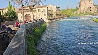 Borghetto di Valeggio acqua [upl. by Mandy]