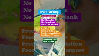 Fruit packing jobs [upl. by Bucky]