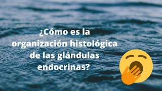 ¿Cuál es la organización histológica de las glándula endocrinas [upl. by Haim]