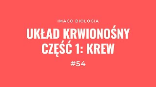 Układ krwionośny Krew [upl. by Tillion]