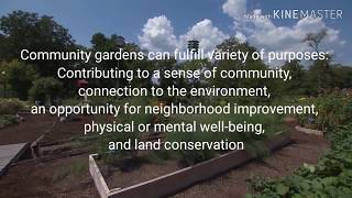 Building Community Gardens The benefits and positive impacts for Ethiopia and its Citizens [upl. by Yehudi]