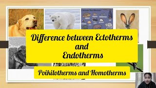 Difference between Ectotherms and Endotherms l Poikilotherms and Homotherms l Biology By Neha Binwal [upl. by Suaeddaht676]