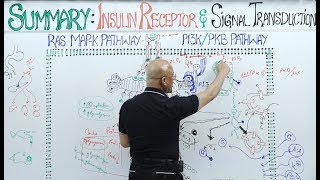 Insulin Signal Transduction Pathway👨‍⚕️ [upl. by Adnilg988]