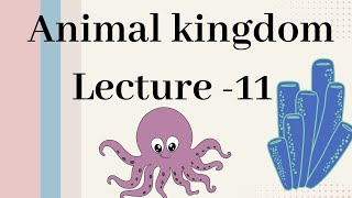 Mollusca  Animal kingdom Lecture  11 [upl. by Steinke]