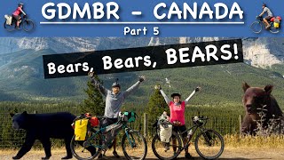 BANFF And BEARS Bikepacking the Great Divide Mountain Bike Route GDMBR [upl. by Htelimay]