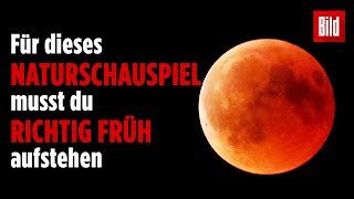 Mondfinsternis trifft auf Supermond [upl. by Ydospahr]