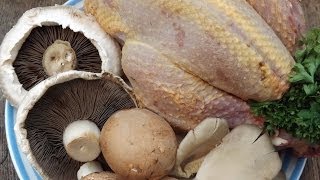 How To Cook A PheasantPot Roasted Pheasant [upl. by Ginnifer785]