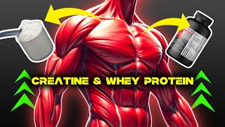 Creatine vs Whey Protein Ultimate Guide for Faster Muscle Gains amp Recovery [upl. by Alexandros]