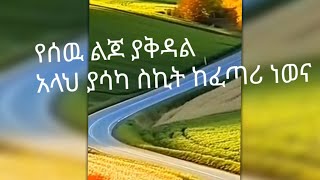 ሰሚራ Semira Tube is live [upl. by Einafets]