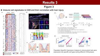 Liver transcriptomics to decipher the cause of intrahepatic inflammation in chronic hepatitis B [upl. by Nahtanhoj]