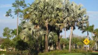 Forest Glen Golf and Country Club Naples Florida [upl. by Norri302]