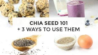 Chia Seed 101  3 Ways To Use Chia Seeds [upl. by Kinom919]