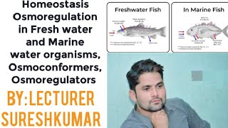 Homeostasis Osmoregulation in fresh marine organisms Osmoconformers Osmoregulator HindiUrdu Sir SK [upl. by Darda]