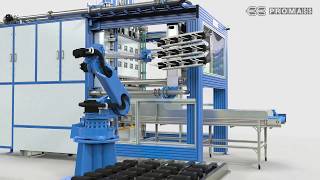 Promass Shape Molding Machine [upl. by Jedd]