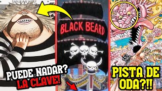 ¡¡SANJUAN WOLF ES EL BARCO DE KUROHIGE  EL FINAL DE ONE PIECE EN 2030  MOMONOSUKE NAKAMA PYR [upl. by Sivel]