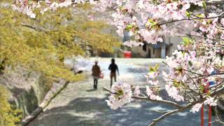 Remembrance ： Hirokazu Sato 思い出：佐藤弘和 [upl. by Ehudd62]