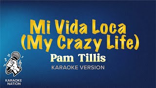 SC7209 05 Tillis Pam Mi Vida Loca My Crazy Life karaoke [upl. by Klepac]