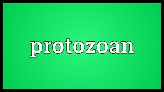 Protozoan Meaning [upl. by Laehpar442]