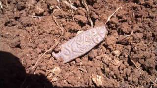 AngloSaxon Zoomorphic StrapEnd Metal Detecting Find [upl. by Redwine355]