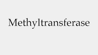 How to Pronounce Methyltransferase [upl. by Holden]