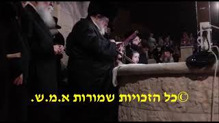 Belzer Rebbe Saying Tashlich 5783 [upl. by Grindlay]