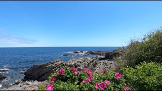 Walk Along Marginal Way Ogunquit Maine [upl. by Artenehs]