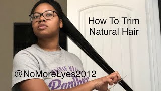 How to Trim straight Natural Hair  Search and Destroy Method [upl. by Yatnod488]