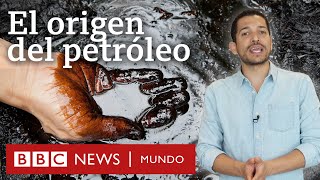 Cuál es el origen del petróleo y no no viene de los dinosaurios  BBC Mundo [upl. by Loss335]