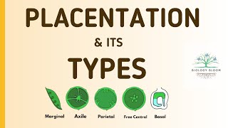 Placentation and its types  Marginal Axile Parietal Free Central amp Basal  Biology Bloom [upl. by Lilybelle]