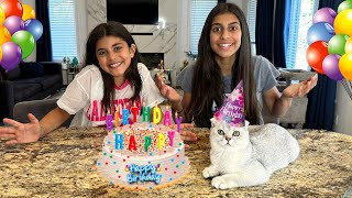 Happy Birthday Cake Surprise to our Cat Bello with Deema and Sally [upl. by Behah140]