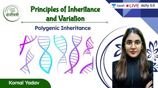 Polygenic Inheritance  Principles of Inheritance amp Variation  L7  NEET 202223  Komal Yadav [upl. by Scibert272]