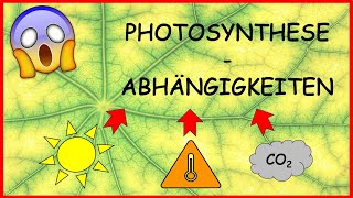 Reaktionsprofil und Aktivierungsenergie  Einfluss der Temperatur auf die Geschwindigkeit PC47 [upl. by Saylor916]