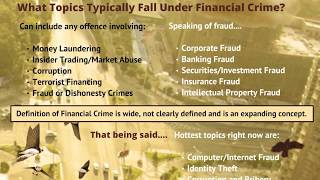 What is Financial Crime [upl. by Menell]