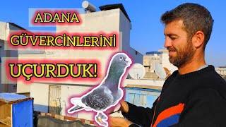 ADANA GÜVERCİNİ UÇURDUK ŞOWMEN  SARİ BAHATTİN [upl. by Verity]