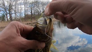 I Just Had A Feeling Lipless Crankbait LMB Crappie Sunfish [upl. by Nalliuq788]