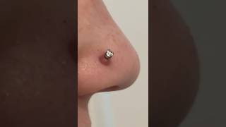 How to get rid of a piercing bump piercings piercingbump keloid teatreeoil piercinglife howto [upl. by Kalasky]