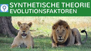 Synthetische Evolutionstheorie  Evolutionsfaktoren  Evolution 9 [upl. by Aveer]