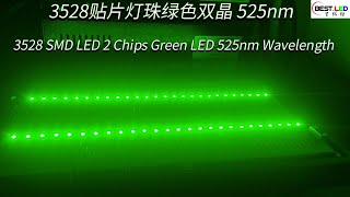 3528 SMD LED 2 Chips Green LED 525nm Wavelength [upl. by Zobias]