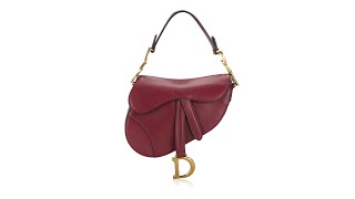 Christian Dior Calfskin Mini Saddle Bag Red [upl. by Conner]