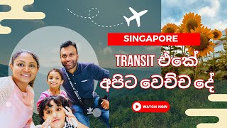 Singapore Transit එකේ අපිට වෙච්ච දේ  සිංහල vlog  Journey with Sha [upl. by Skerl]