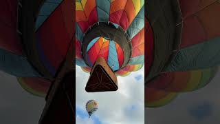 Festive in upstate new york shorts hotairballoon [upl. by Nnayt]