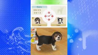 Lets Play Nintendogs Episode 6 Stalin a Days Work [upl. by Scheer424]