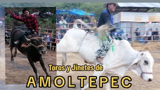 JARIPEO en La SOLEDAD Santiago Amoltepec Oaxaca 2024 [upl. by Zoba498]