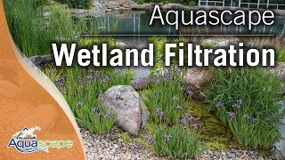 Wetland Filtration [upl. by Kassaraba]