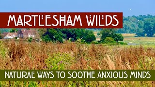 4k Relaxing walk at Martlesham Wilds Nature Reserve Suffolk [upl. by Jeuz]